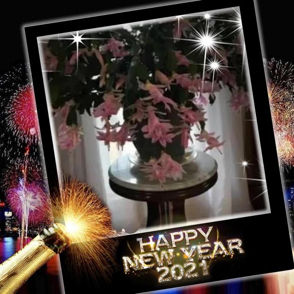 Meet your Posher, Rita - Picture 1 of 1